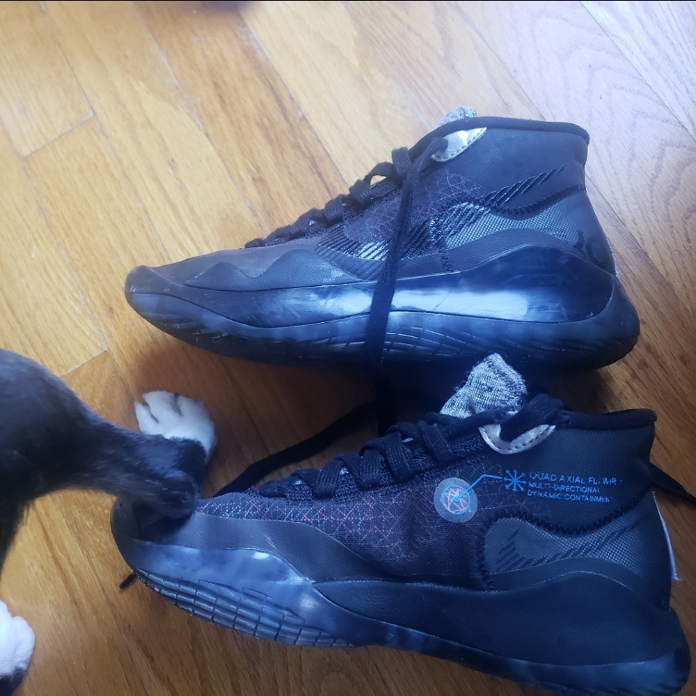 KD 13s